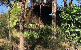 Beautifully Elevated Treehouse Apartment